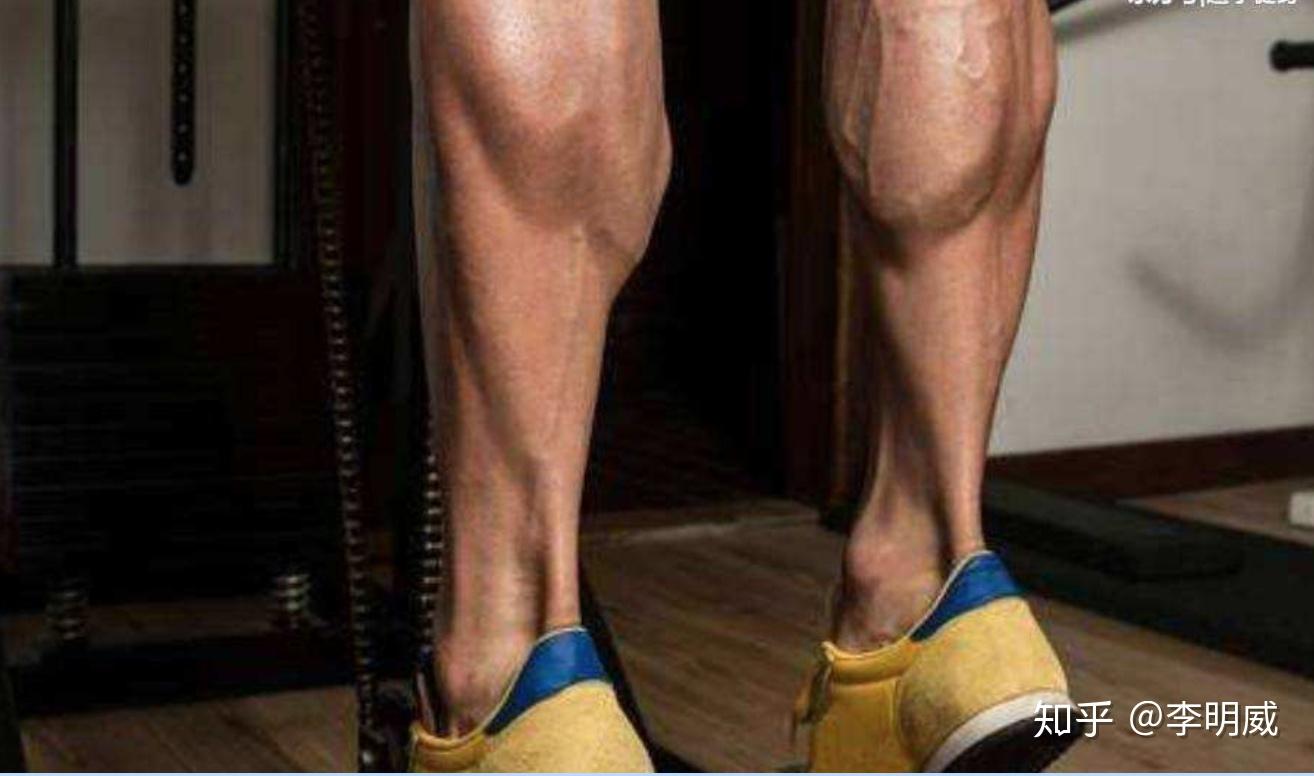 对男性来说,这来之不易;当这个肌肉肿胀或僵硬时,你的小腿的轮廓会