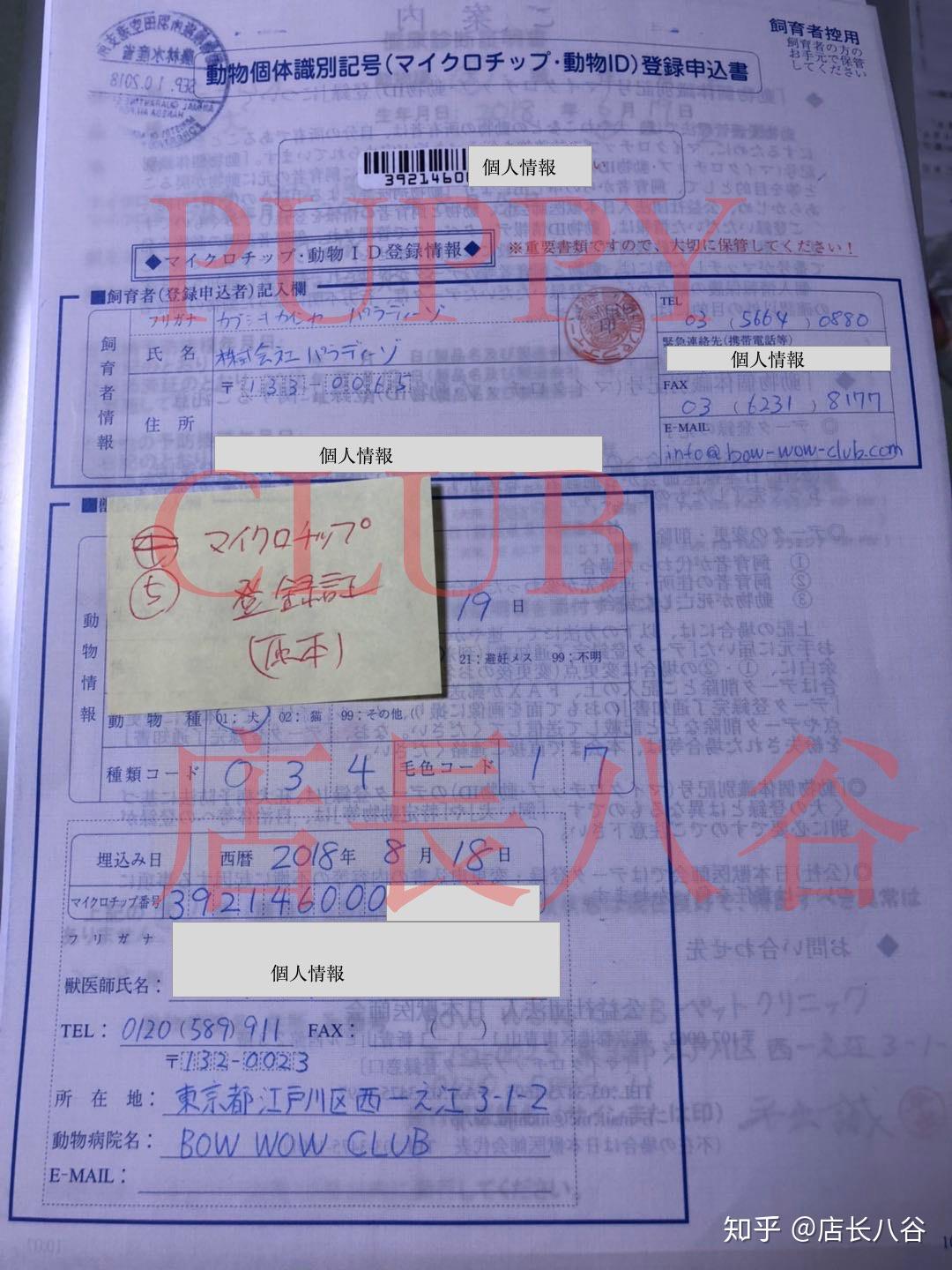 日本购买柴犬回国指南 携带日本宠物入境中国指南