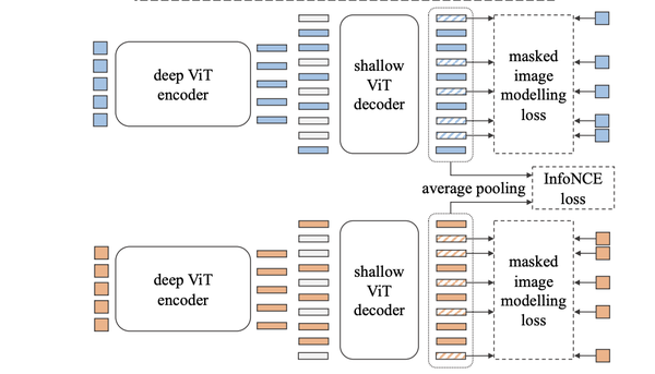 Mask Autoencoder 各类变体 - 知乎