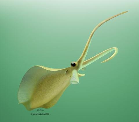 古生物学 - 收藏夹 - 知乎