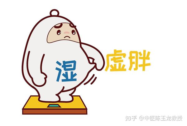 肥胖的中医辨证论治，分享下临床上我对付“肥胖”的那些常用方法 - 知乎