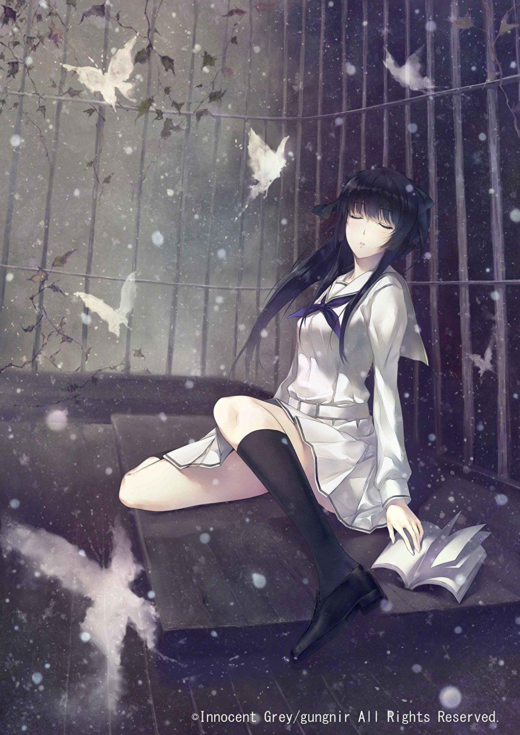 我的游戏簿 虚之少女 知乎