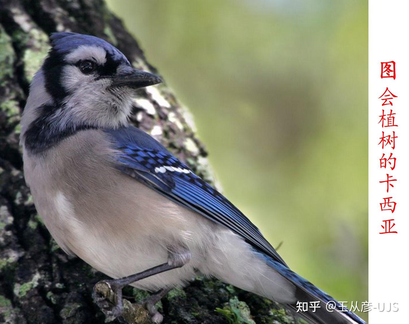 生物的共生关系 - 知乎
