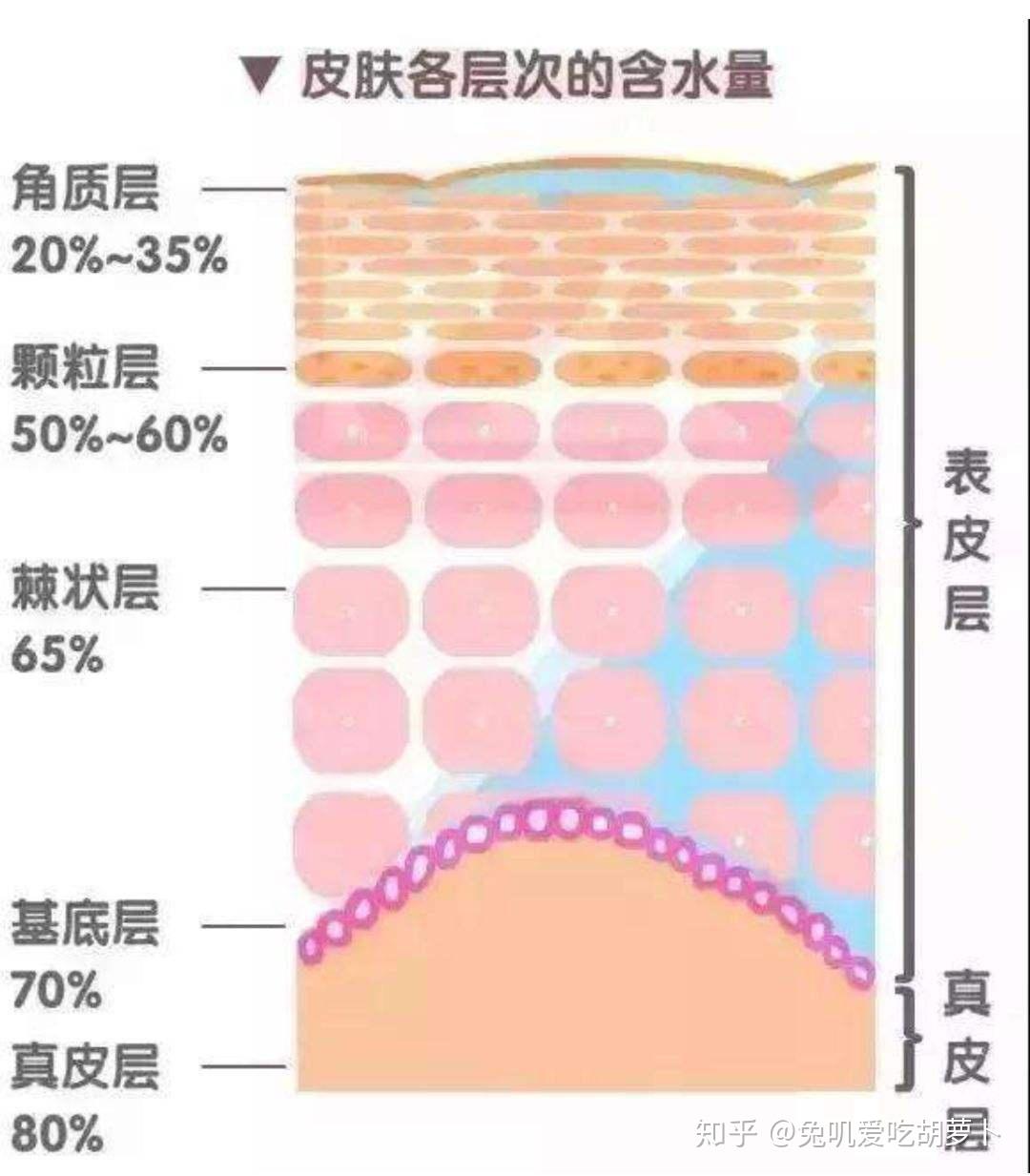 面膜补水是智商税吗如何给皮肤深层补水