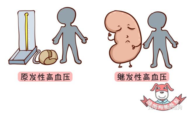 高血压认知2 高血压认知2