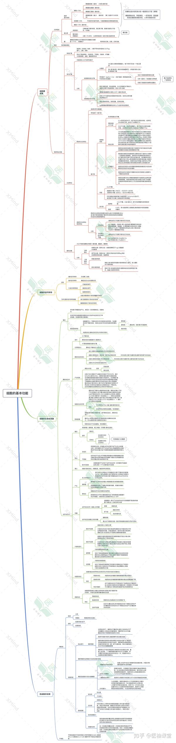 生理學 思維導圖-細胞的基本功能