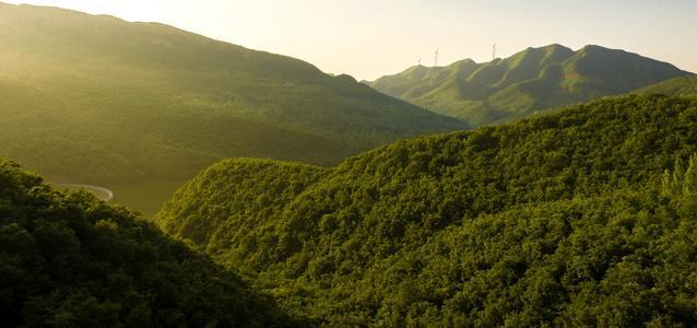 汝州市九峰山國家森林公園位於汝州市寄料鎮平王宋村因自西向東有九座