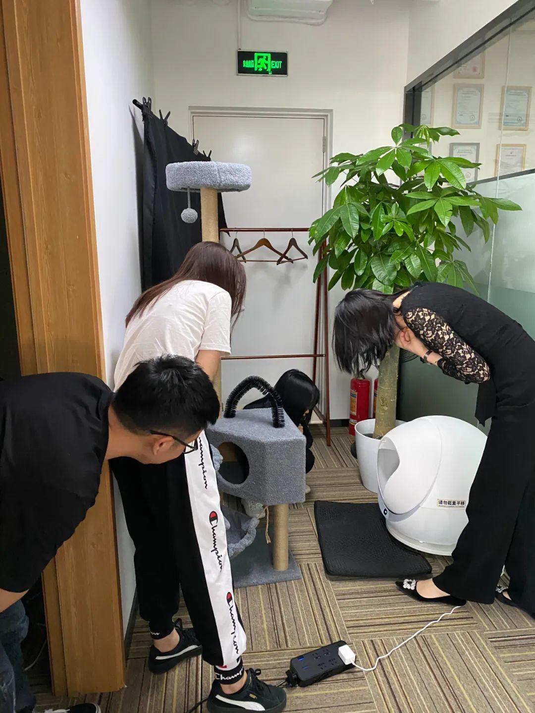 我司新入职的三名程序员鼓励师也太软萌了叭