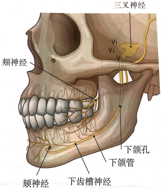 下巴后缩做颏成型手术有用吗?风险如何?能达到什么效果?国内有哪些做颏成型比较好的医院医生? - 知乎