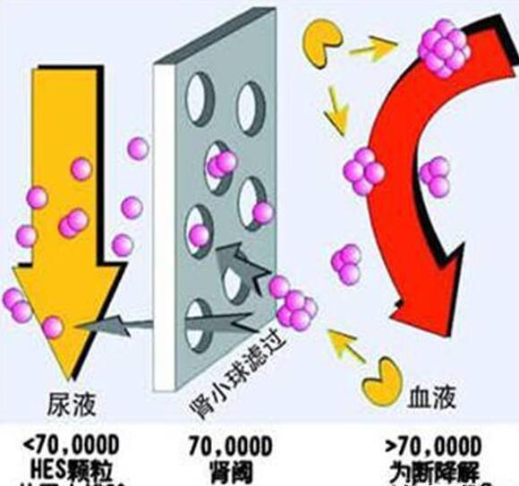 肾病患者尿蛋白高应该怎么治疗 想治好需要知道这三点 知乎