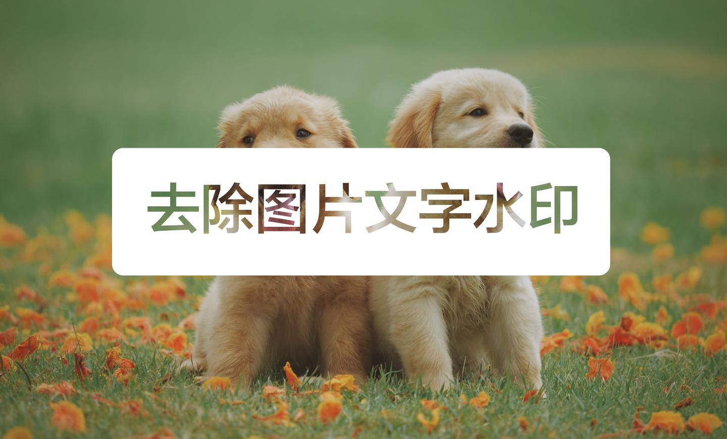 轻松去除图片上的文字水印