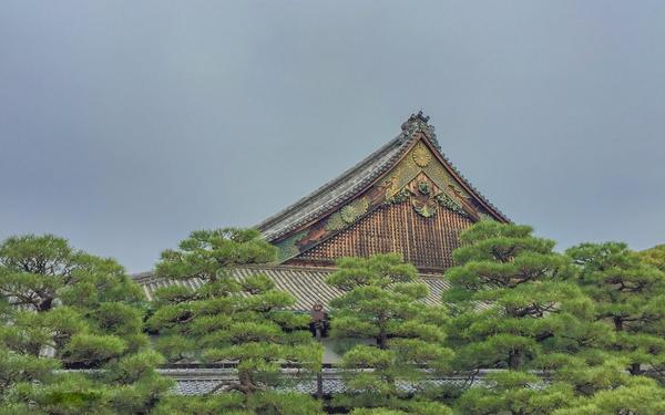 这些年我走过的日本100城 No 13 京都 中 知乎