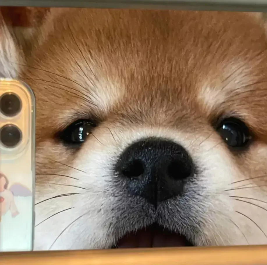 一些超级特别又好看的情侣头像,共190张-最好看的情侣头像动漫一人一半