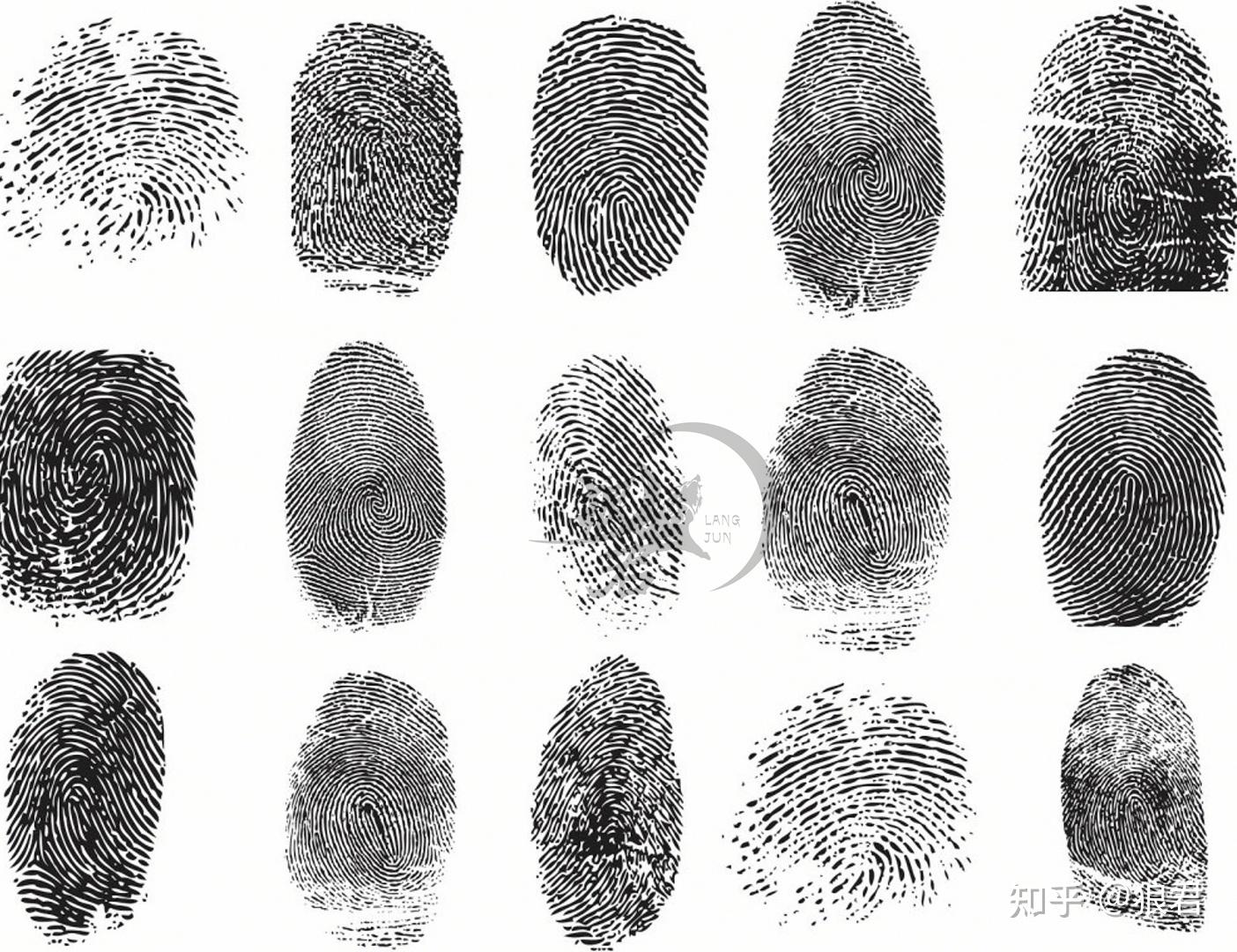 女主人裸死室内证据不足五年未破案最后仅靠半枚指纹揪出真凶