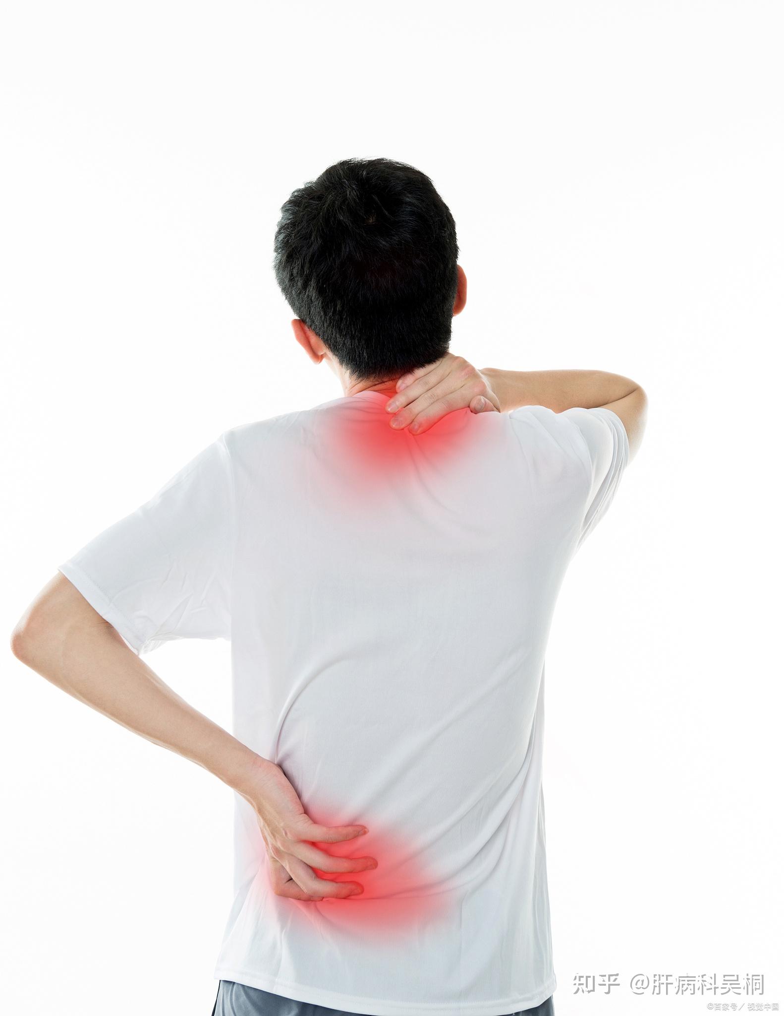 肩膀疼一定是肌肉劳损吗?右肩痛有可能是脏腑问题导致的,一定要分清楚