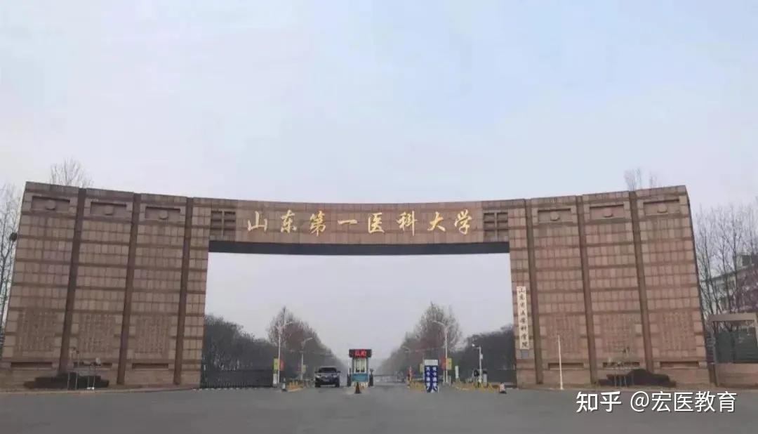03 -山东第一医科大学-● 100300口腔医学(正畸)调剂拟录取1人