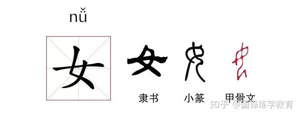 汉字博大精深：从汉字“女”中体现得淋漓尽致 - 知乎