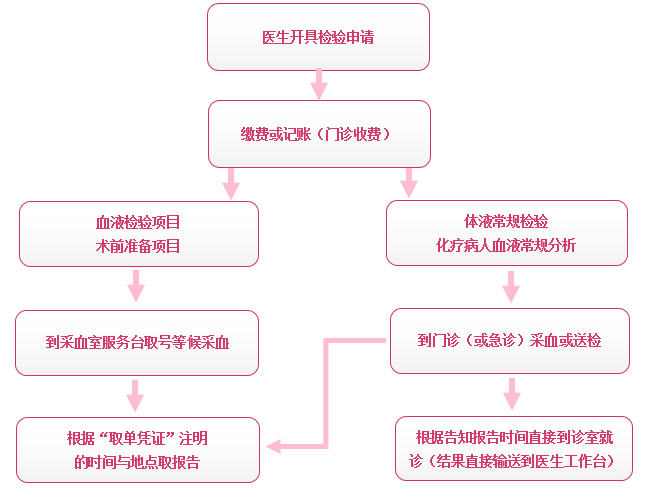 三甲医院门诊挂号流程(三甲医院预约挂号看病流程)