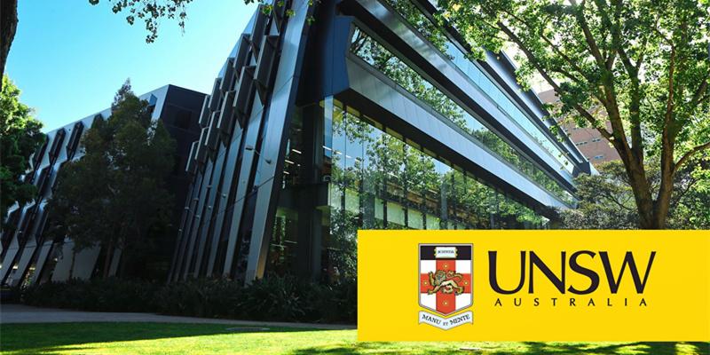 我等了一个月等来的确是dreamschool的拒信