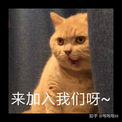 能帮助大学生代写作业的APP软件有什么?