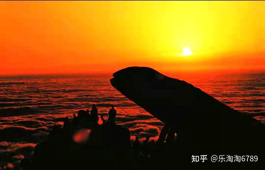 v2-bc675b15e0516b50357bd46d01cc481a_r.jpg