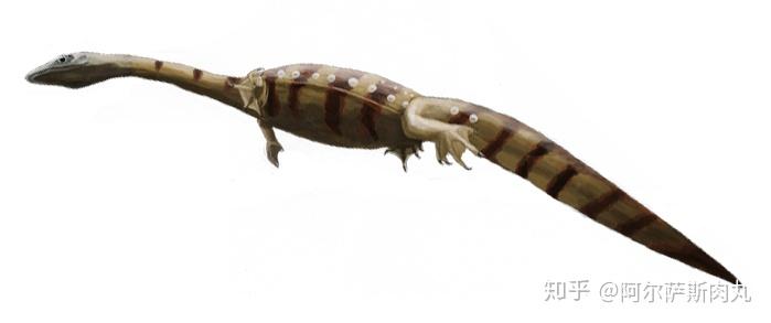 番外丨鬼魅离龙目浅谈