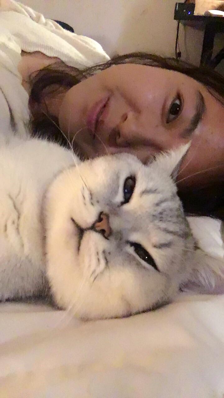 如何用正确的姿势和猫合影以提升照片的艺术感