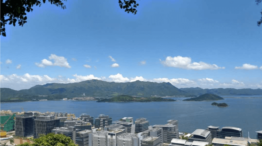 香港租房攻略国际版2020香港岛九龙新界离岛