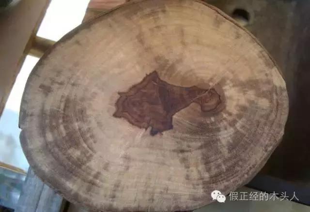 海南黄花梨基础认知