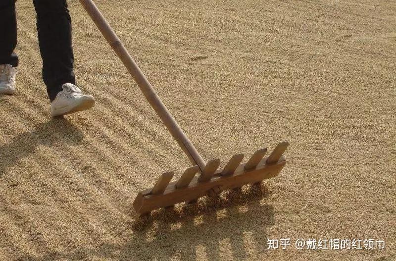 记忆深处最打动人的农耕用具,你认识几个? - 知乎