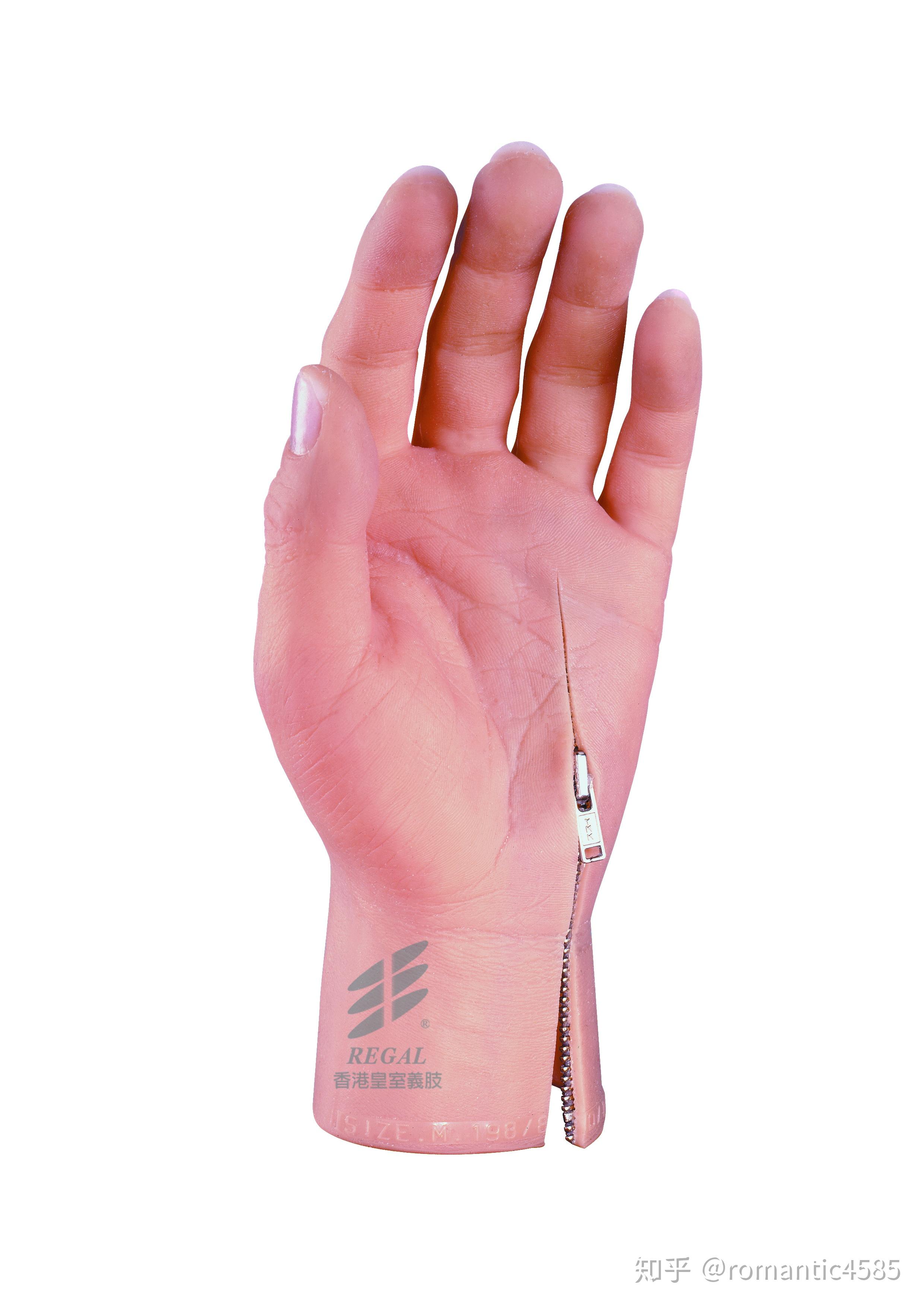 假指拉链半掌美容手前臂美容手假肢的介绍2020年7月1日