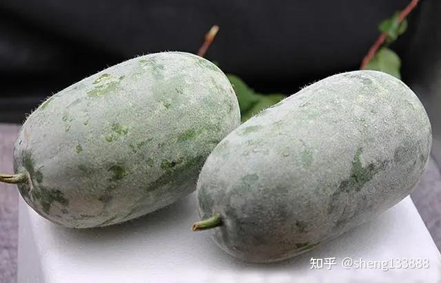 冬瓜、西瓜、南瓜，为啥没有“北瓜”？其实北瓜有3种，你经常吃 - 知乎