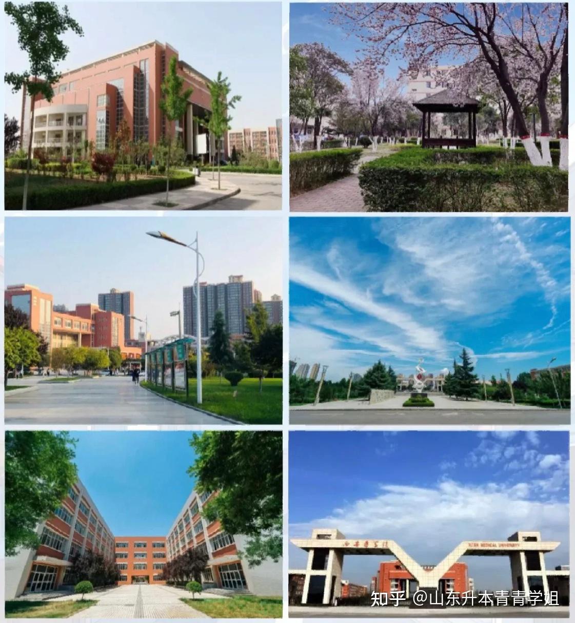 西安医学院的校园风景,尽收眼底,美不胜收!