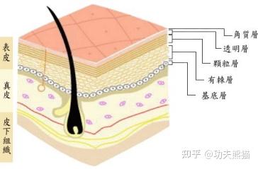 品品牛板筋安全么_聚美优品化妆品是正品吗_安全健康的化妆品牌子