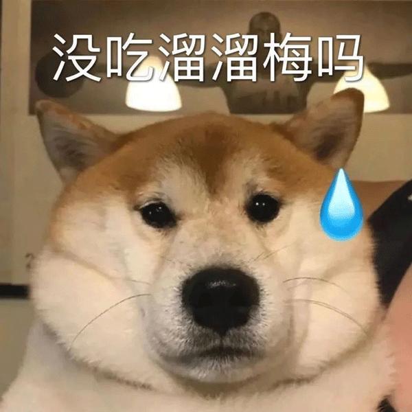 动图封面