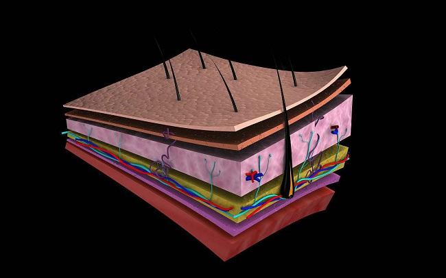 而真l皮层吃顶l级精华类,分子颗粒几乎到纳米级有亲肤性极易被皮肤
