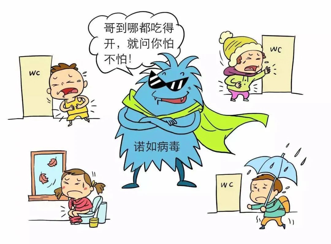 二,識別諾如病毒的3大典型症狀