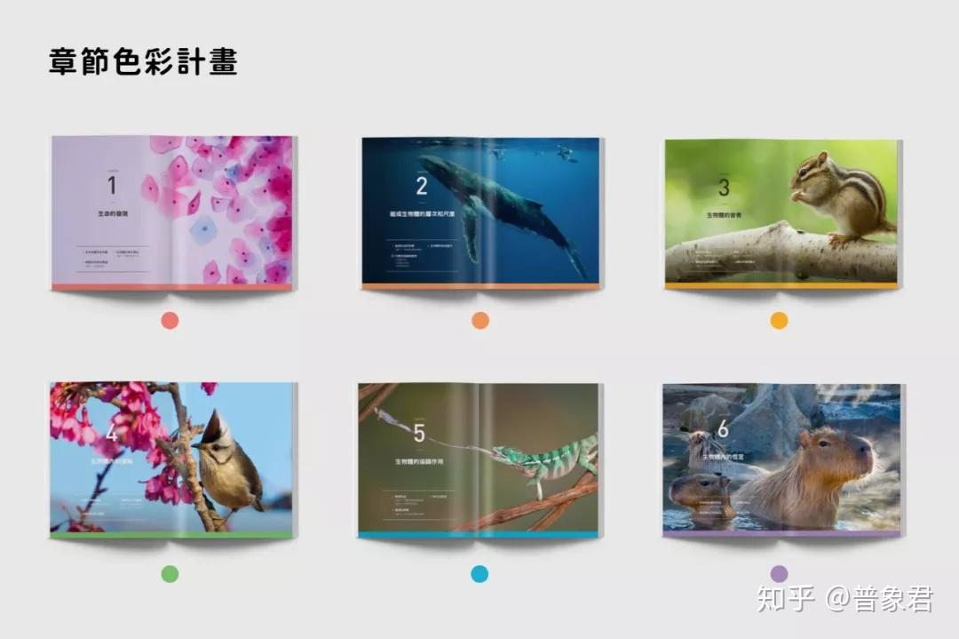 为什么“中国式审美”被群嘲？因为我们缺乏真正的美感教育 - 知乎