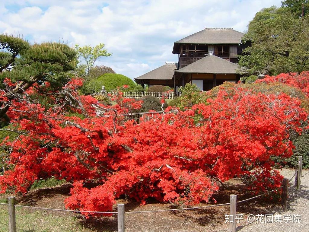 看世界 | 日本20个经典枯山水庭院，带你感受日式庭院经典之美 - 知乎