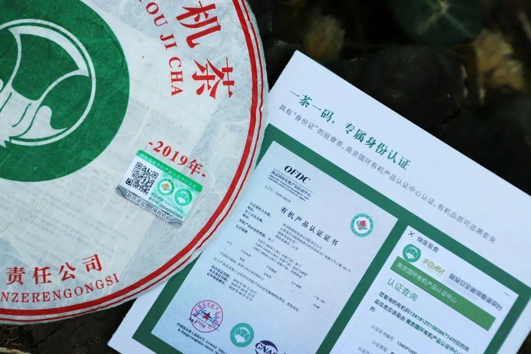 大郭说茶丨88班章有机茶的真假鉴别
