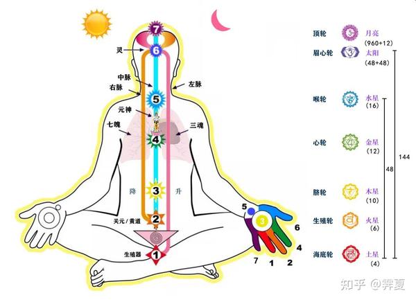 什么是人,人的构成,三魂七魄引发活动 - 知乎