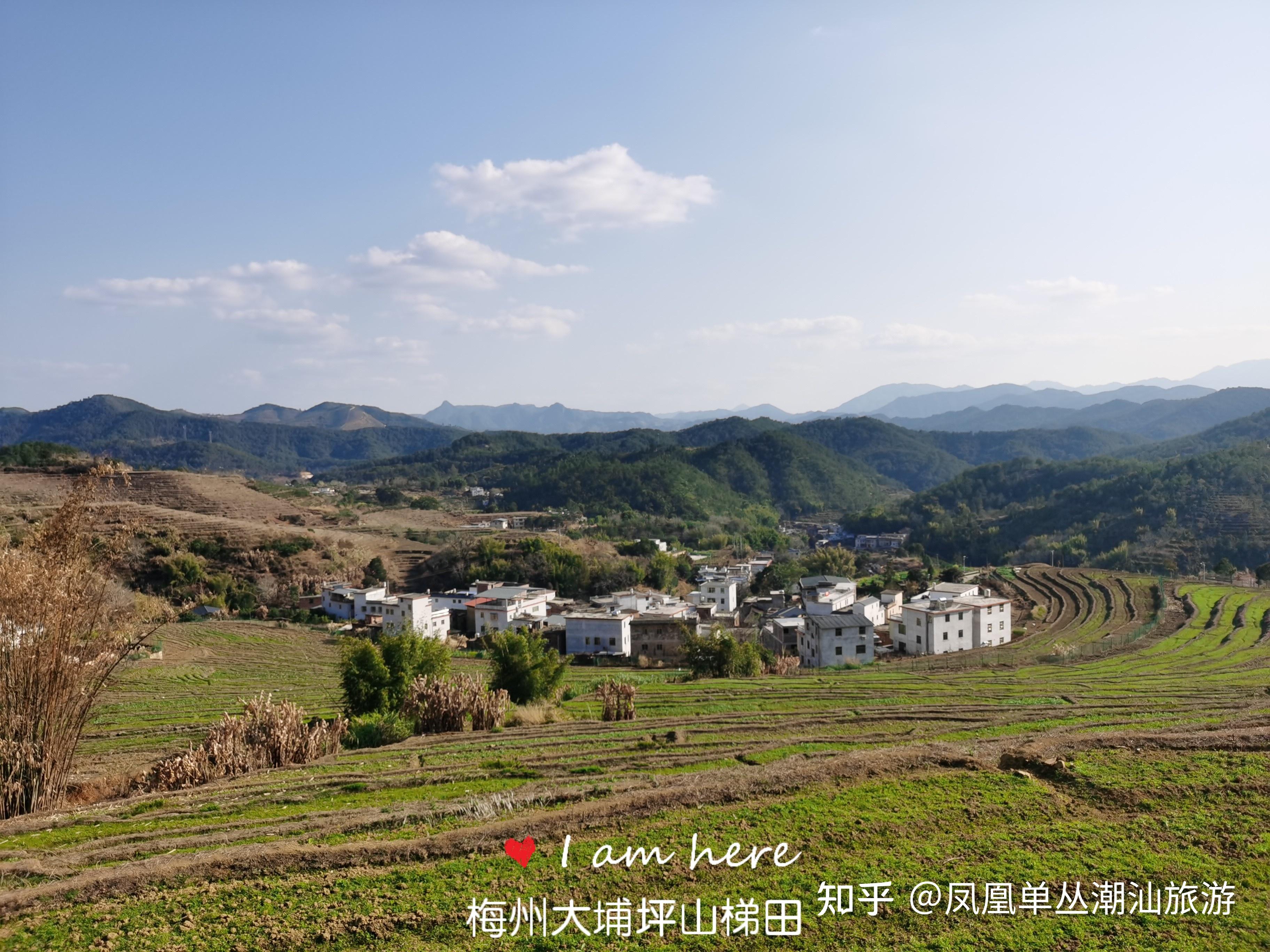 大埔县旅游全景图坪山梯田游览图坪山