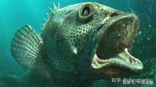 世界十大奇葩深海怪鱼,地震震出来的那条最可怕!
