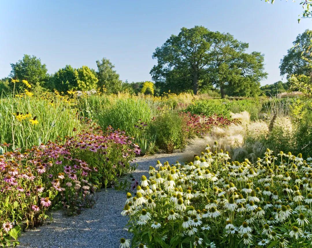 自然式种植景观设计案例needle景观案例分享第四十九期