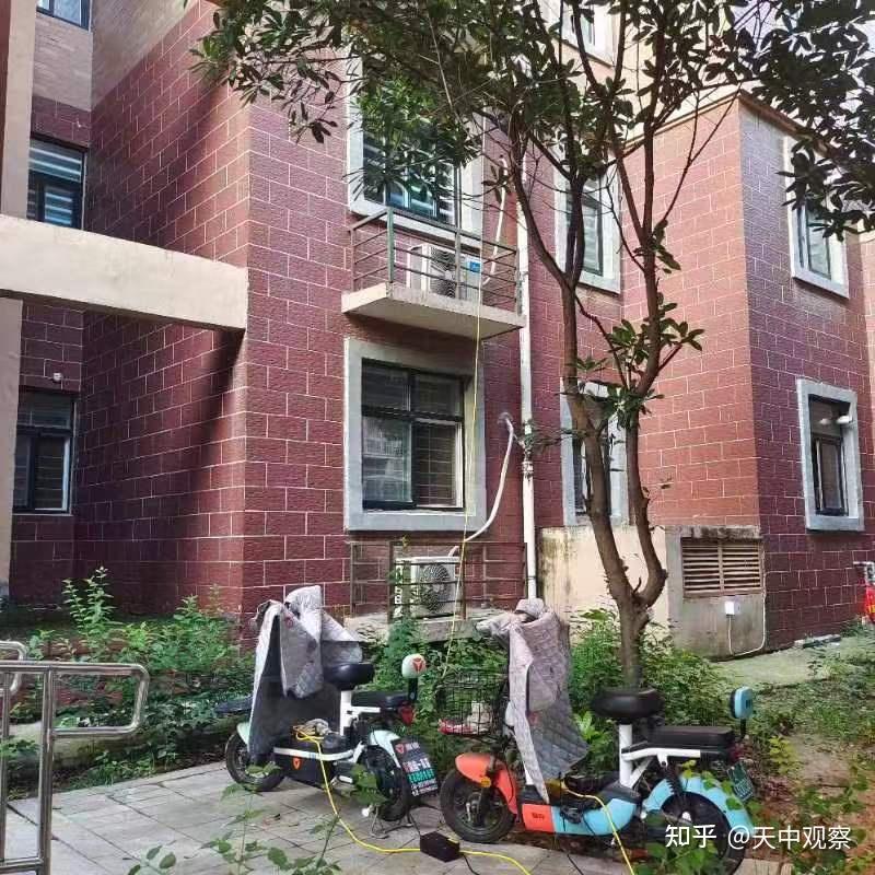 上蔡县鹏宇国际城小区物业乱来不作为,多年景观树被砍谁负责