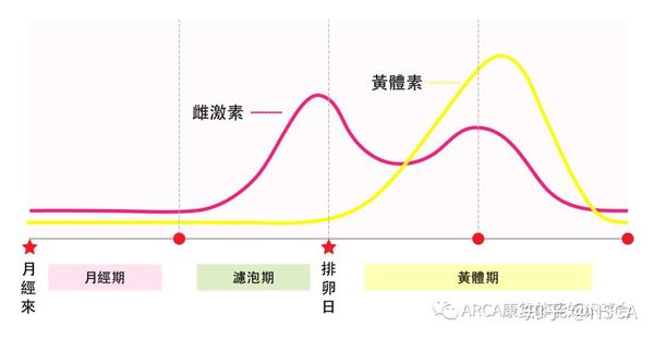 男女有别 谈谈女性生理周期与训练 知乎