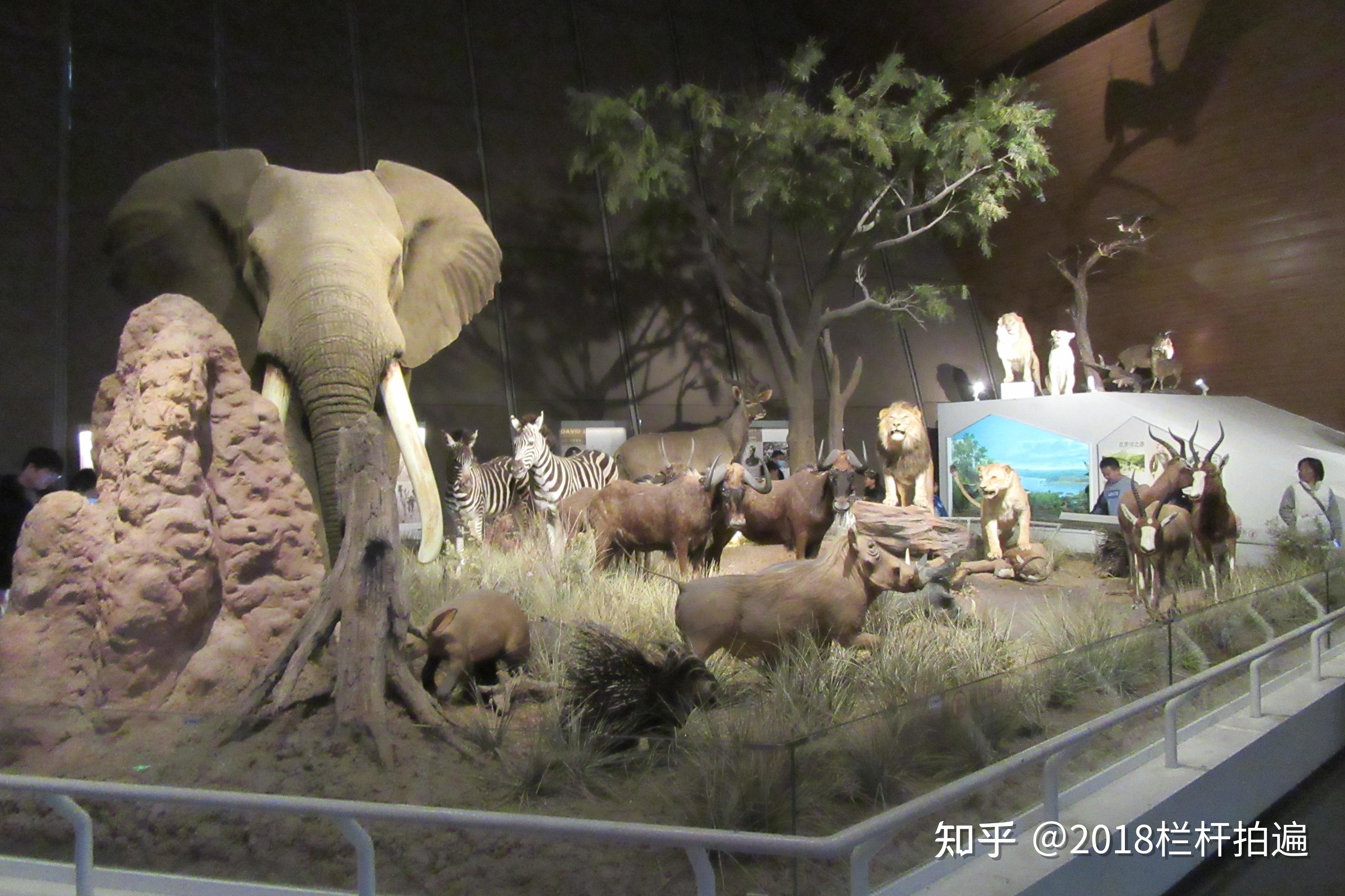 天津:打卡"天津·国家海洋博物馆"(2)