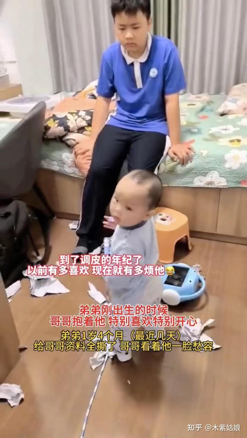 弟弟刚出生时哥哥抱着他满脸欢喜,等到弟弟一岁多,哥哥生无可恋 - 知乎