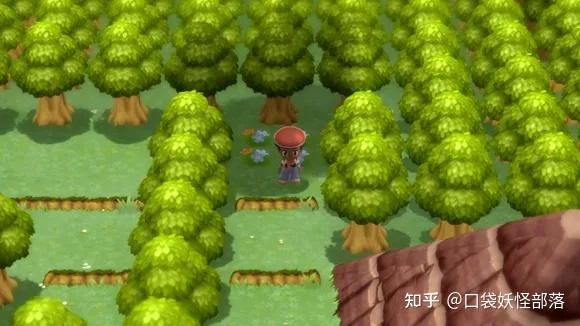 宝可梦晶灿钻石发售日期(《宝可梦晶灿钻石明亮珍珠》一周目图文攻略)  第118张