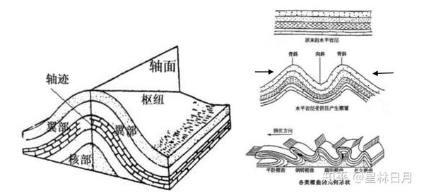 背斜横截面中间岩层老,两侧新(上新下老,凸新则老向斜横截面中间